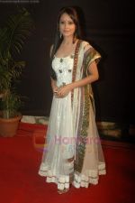 Natasha Sharma at Gold Awards in Filmcity, Mumbai on 18th June 2011 (229).JPG